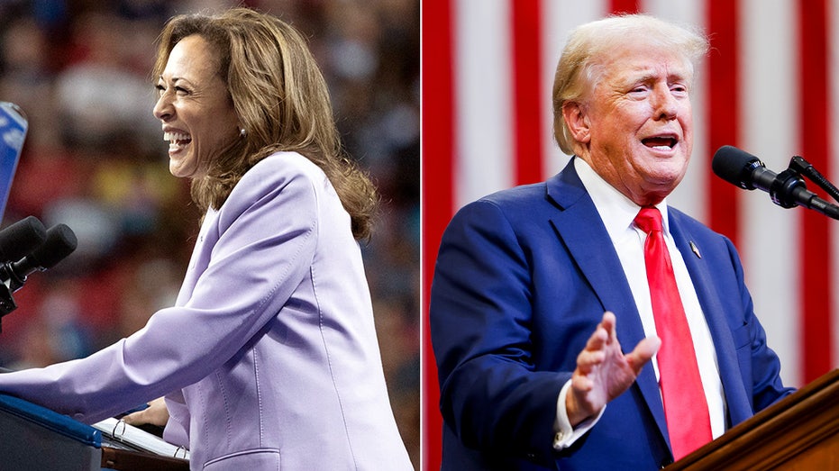 [Fox News] Trump accuses Harris of ‘stealing’ his no tax on tips